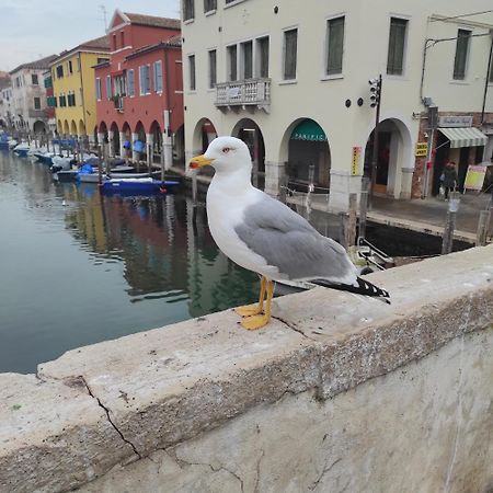 Bed and Breakfast Ca' Dell'Angelo Chioggia Exterior foto