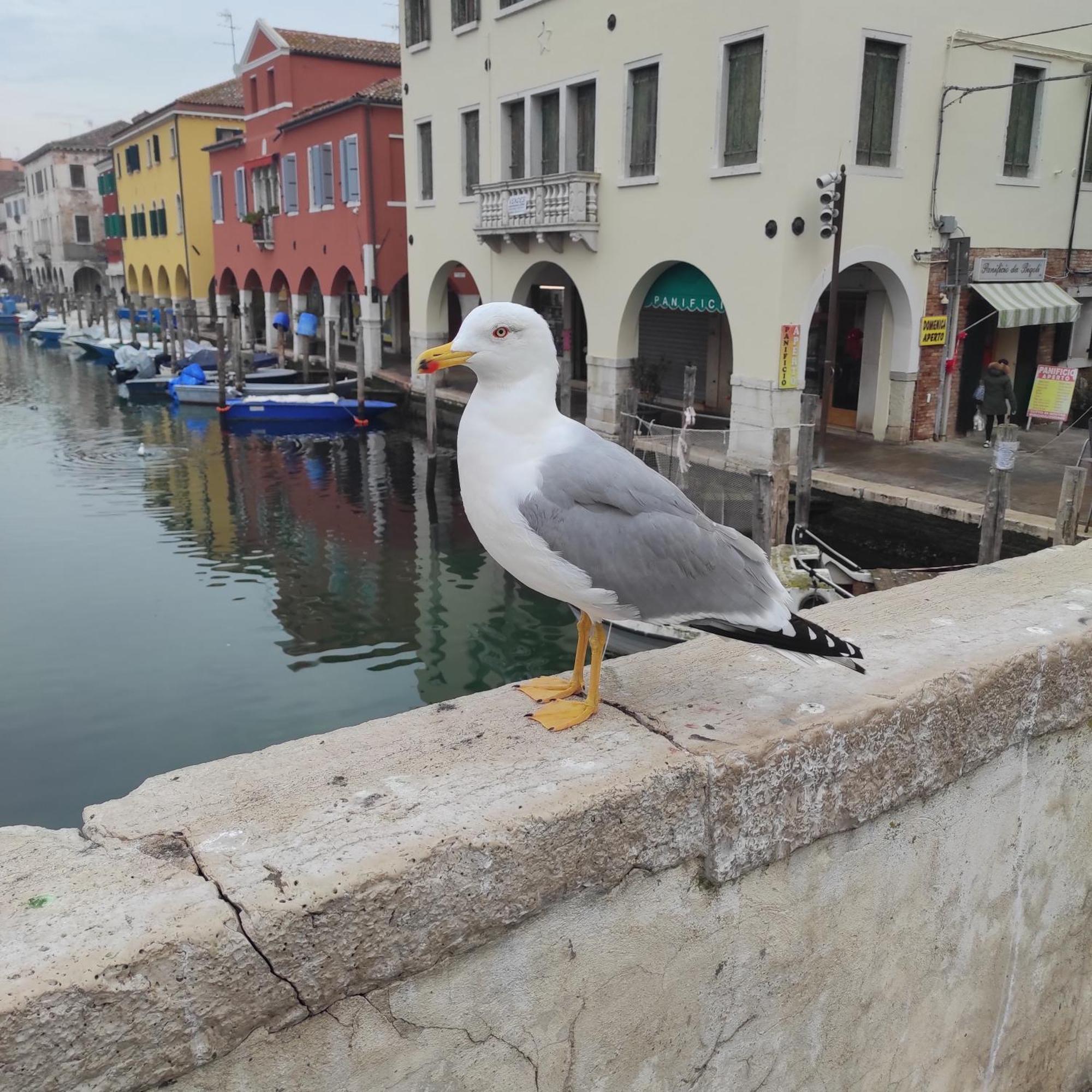 Bed and Breakfast Ca' Dell'Angelo Chioggia Exterior foto